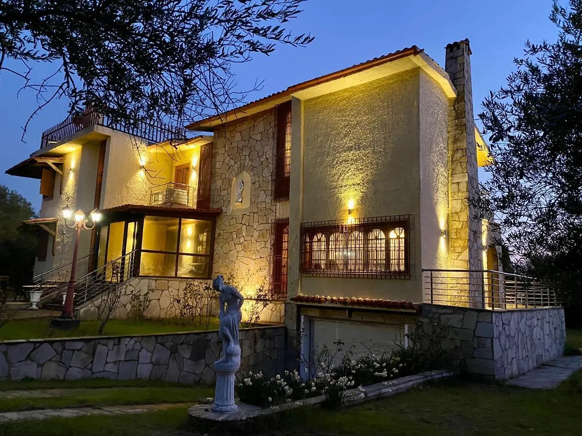 Eirini'S Art House Villa Gerakini 0*,