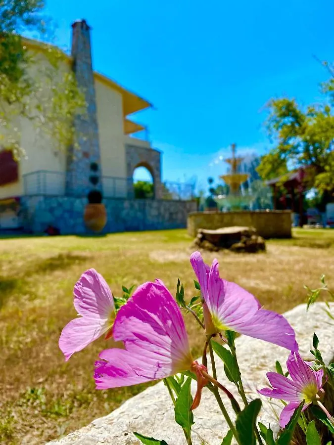 Eirini'S Art House Villa Gerakini